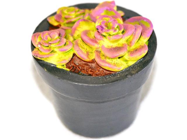 G & F Products 10062 Garden Miniature, Succulent