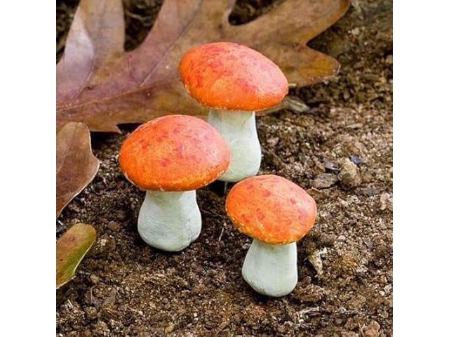 Miniature Mushrooms, Set of 3 for Miniature Garden, Fairy Garden Green