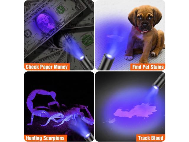 EverBrite Red Light Flashlight with 395nm Blacklight UV/White Light, Multi-Function LED Pocket Pen Light, AAA Batteries Included, for Night Vision,...