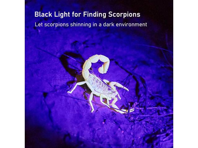 Blacklight Flashlight,128 LED UV Flashlights, Upgraded Bright Ultraviolet Flashlight Professional Black Light for Dog/Cat, Hunting Scorpions