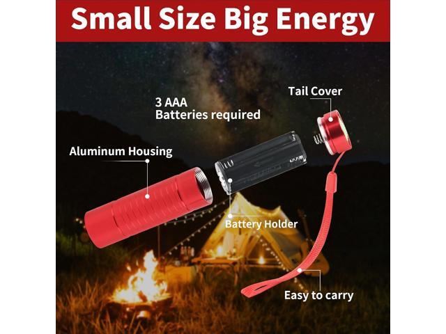 6 Pack Red Light LED Flashlight Mini, Red Flashlight Red Torch for Astronomy, Aviation, Night Observation and Animal Observation