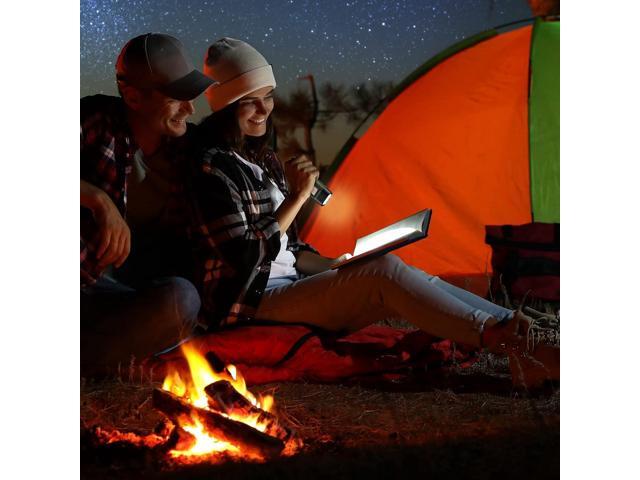 4 Pieces Hand Crank Solar Powered Flashlight LED Rechargeable Flashlight Survival Emergency Hand Crank Lantern Snap Carabiner Torch for Outdoor...