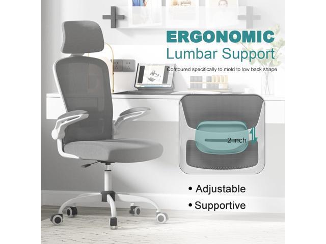 Mimoglad Office Chair, High Back Ergonomic Desk Chair with Adjustable Lumbar Support and Headrest, Swivel Task Chair with flip-up Armrests for...