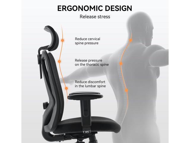 Ergonomic Office Chair, Mesh Computer Desk Chair with Adjustable Sponge Lumbar Support, Thick Cushion, PU Armrest and Headrest, High Back Swivel...