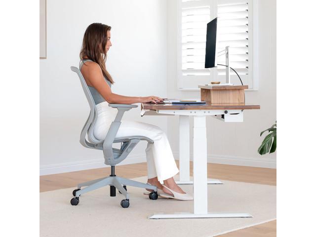 Desky Echo Modern Office Chair - Light Gray / Adjustable