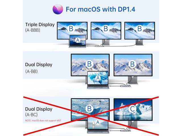 LIONWEI Laptop Docking Station 13 in 1 - Dual HDMI+DisplayPort+10Gbps, 6 USB C/A, 100W PD, Ethernet, SD/TF, Audio, USB C Hub for...