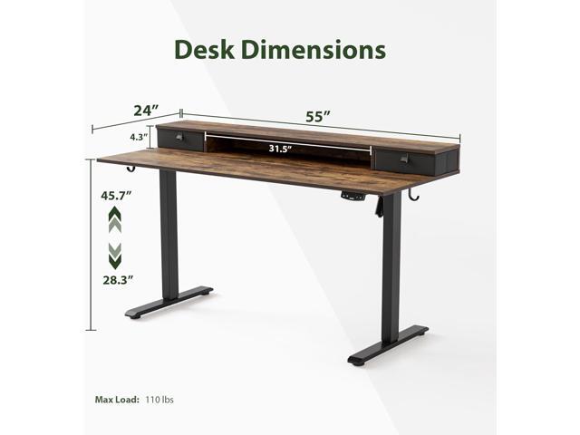 Agilestic 55 x 24 Inches Height Adjustable Electric Standing Desk with 2 Drawers, Stand Up Electric Desk Adjustable Height, Sit Stand Computer...