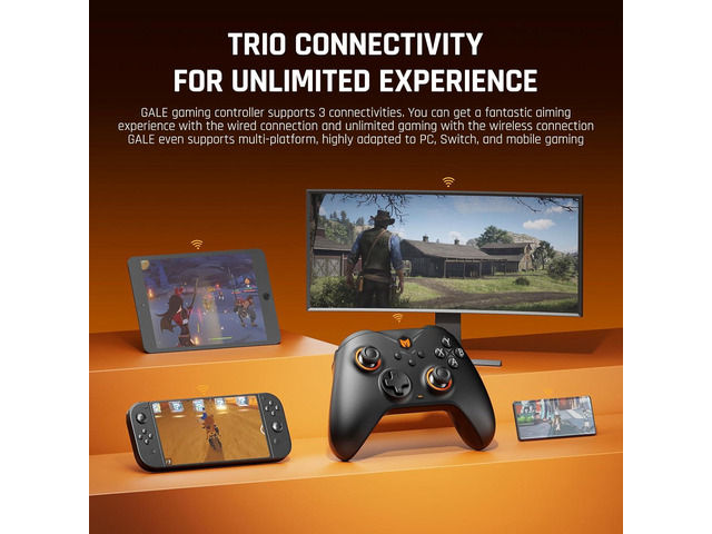 BIGBIG WON Wireless Controllers, Gale Hall PC Controllers Motion Control, Hall Joysticks & Triggers, PC App Game Controllers for...