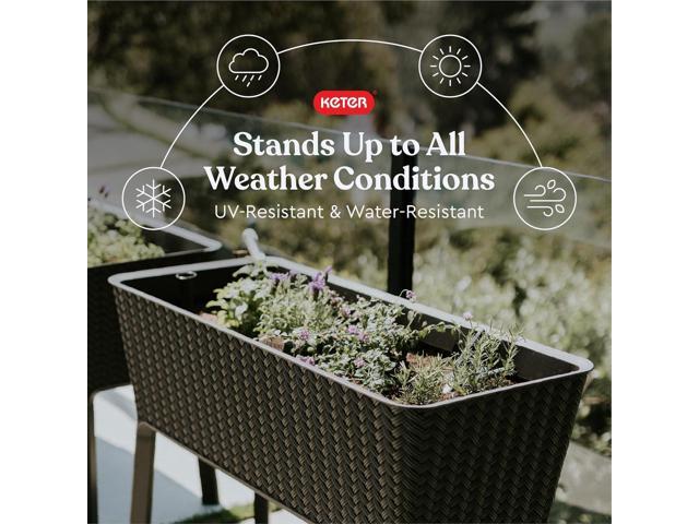 Keter Splendor 31.7 Gallon Raised Garden Bed with Self Watering Planter Box and Drainage Plug-Perfect for Growing Fresh Vegetables, Flowers and...