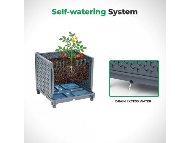 Raised Garden Bed with Tomato Planter Cage, Trellis Planter Boxes for Outdoor Patio Greenhouse Gardening Climbing Vegetables