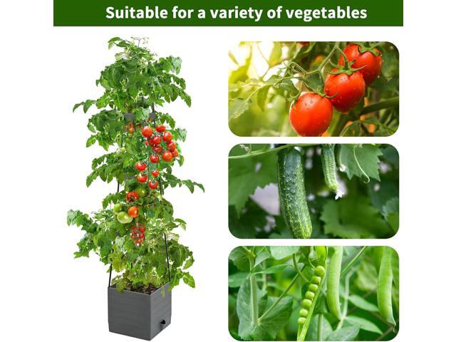 2 Pack Raised Garden Bed, Planter Boxes with Trellis 58.3'' Tomato Planters for Climbing Vine Vegetables Flowers Plants Self Watering Tomatoes Cage...