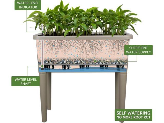 Dexceder 13.2 Gallon Self Watering Raised Garden Bed with Ventilation Transparent Lid Greenhouse, Deepen Vegetable Flower Box Planter Pot with...