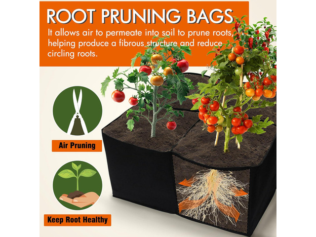 Gardzen 2 Pack Fabric Raised Garden Beds, 2x2x1 FT 4 Grids Grow Bed for Square Foot Gardening, Planting Box for Vegetables, Herbs, Flowers