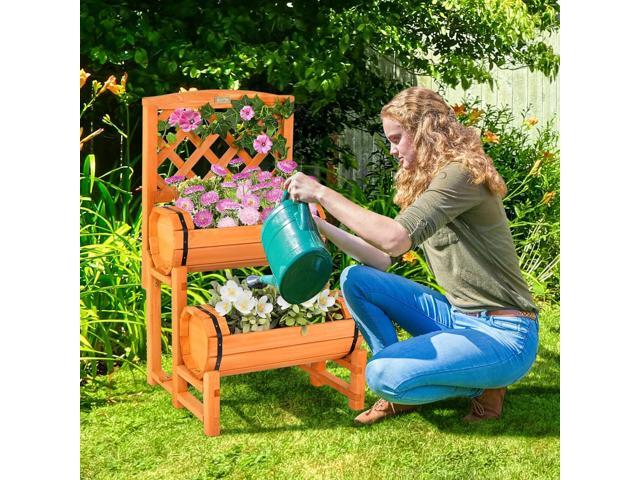 S AFSTAR 2 Tier Raised Garden Bed with Trellis, Wooden Planter Box with Diamond Lattice Trellis, Elevated Planter Bed for Vine Climbing Plants...
