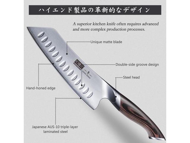 HOSHANHO 7 Inch Japanese Chef Knife, Ultra Sharp High Carbon Stainless Steel AUS-10 Kitchen Knife, Professional Santoku Knives with Ergonomic...