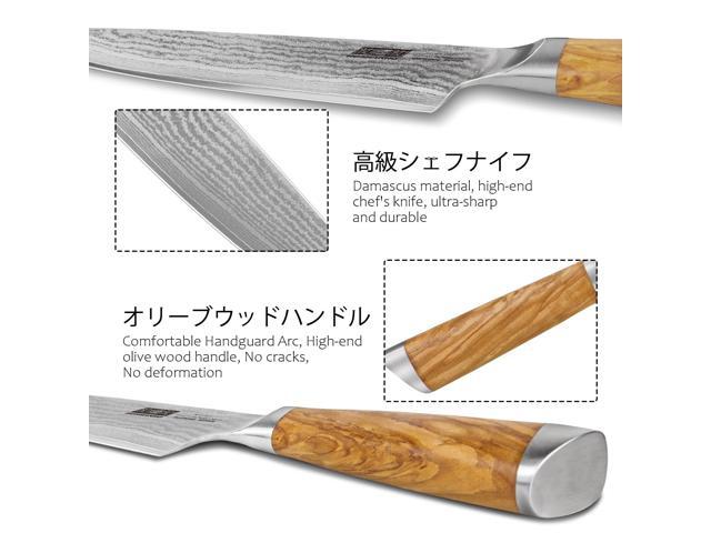 HOSHANHO Damascus Chef Knife 8 Inch, Professional 67 Layers VG-10 Super Steel Kitchen Knife, Ultra Sharp Japanese Knife with Durable Ergonomic...
