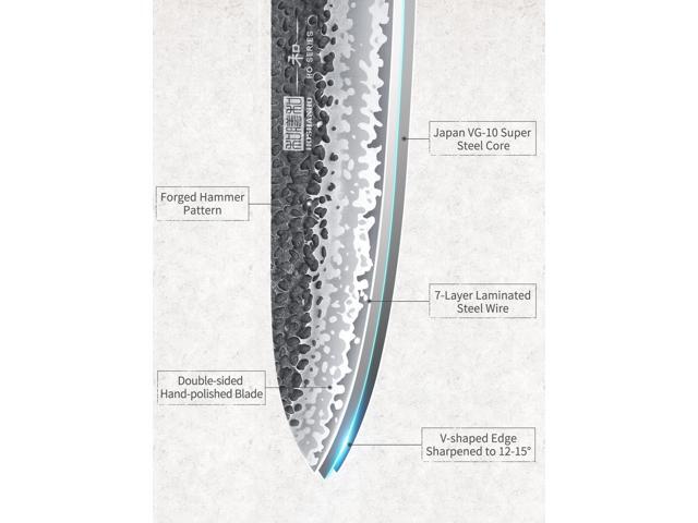 HOSHANHO 8 Inch Japanese Gyuto Chef Knife, 7 Layers High Carbon Steel VG-10 Kitchen Knife, Professional Hand Forged Cooking Knife with Ergonomic...