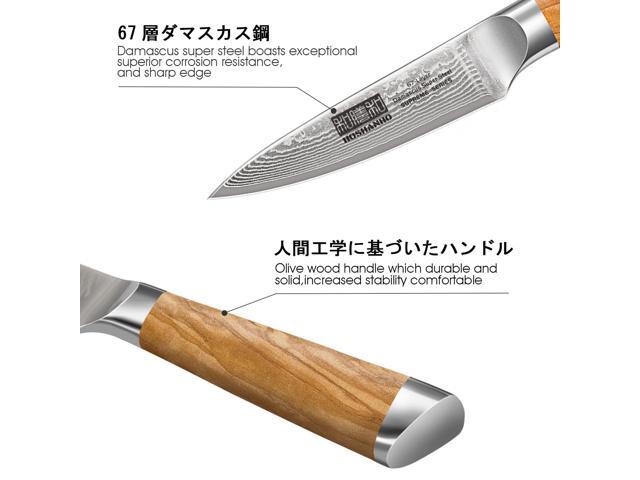 HOSHANHO Damascus Paring Knife 3.75 Inch, Professional 67 Layers Damascus Super Steel Small Fruit Knife, Super Sharp Hand Forged Japanese Paring Knife