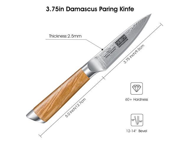 HOSHANHO Damascus Paring Knife 3.75 Inch, Professional 67 Layers Damascus Super Steel Small Fruit Knife, Super Sharp Hand Forged Japanese Paring Knife