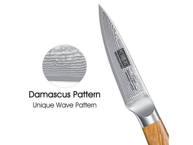 HOSHANHO Damascus Paring Knife 3.75 Inch, Professional 67 Layers Damascus Super Steel Small Fruit Knife, Super Sharp Hand Forged Japanese Paring Knife