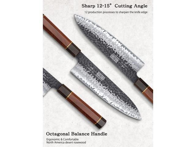 HOSHANHO 3 Pieces Knife Set, Professional High Carbon Steel Kitchen Knives Set, Ultra Sharp Japanese Chef Knife Set with Ergonomic Handle & Gift Box