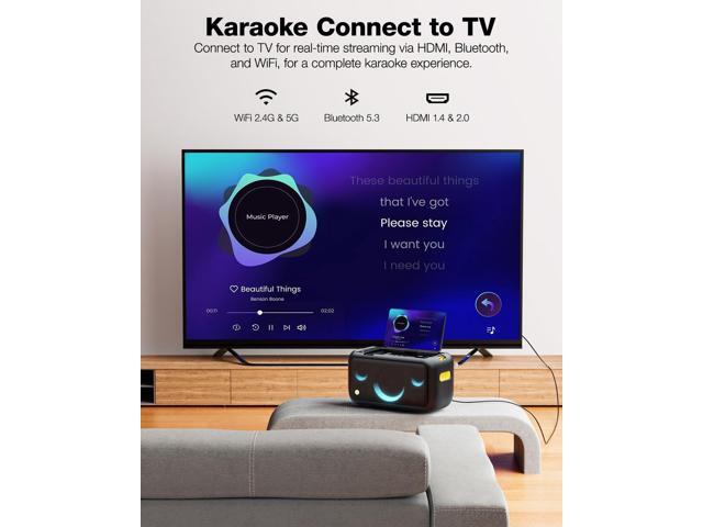 Ikarao Karaoke Machine for Adults Built-in 13.3-inch Screen Portable Bluetooth Speaker with 2 Wireless Mics for TV Music Party - image 5