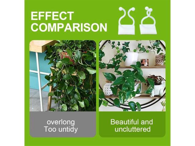 Plant Climbing Wall Fixture Clips, Plant Vine Wall Clips Wall Plant Support Hook, Invisible Plant Support Vine Clips, Plant Fixer Self-Adhesive...