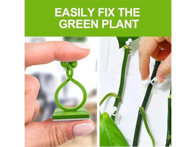 Plant Climbing Wall Fixture Clips, Plant Vine Wall Clips Wall Plant Support Hook, Invisible Plant Support Vine Clips, Plant Fixer Self-Adhesive...