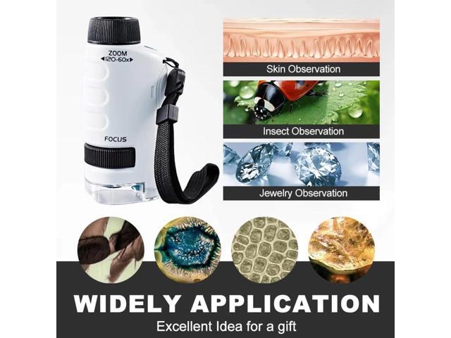 Handheld Little Microscope, Portable Microscope Digital with 60x-120x Magnification, LED Pocket Microscope Little Scientist Mini Microscope for Kids