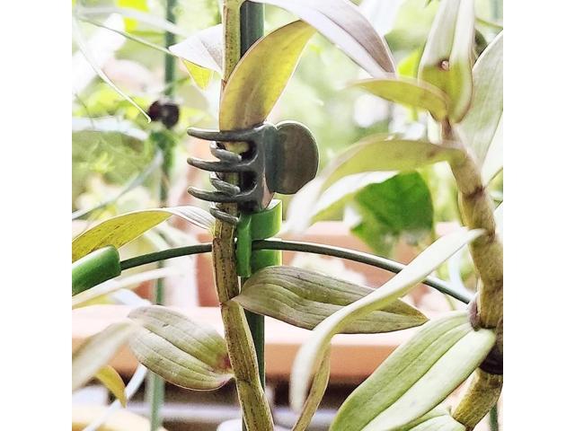 JFEYV 50/100PCS Plant Clips Vine Clamp Plant Support for Grafting Tomato Butterfly Orchid Flowers Clip Garden Accessories Tools