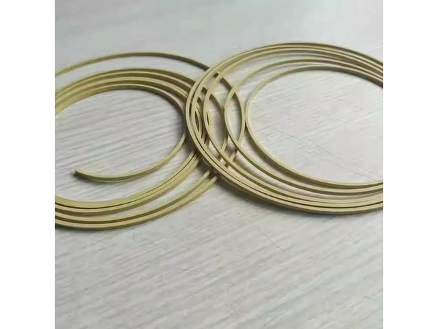 FOR Replacement for nXDS6i Scroll Vacuum Sealing Ring 1PCS Tip Seal