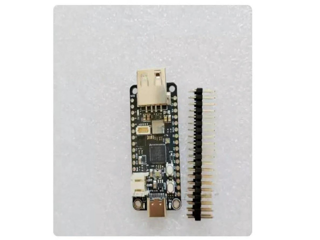 Feather RP2040 with USB Type A Host