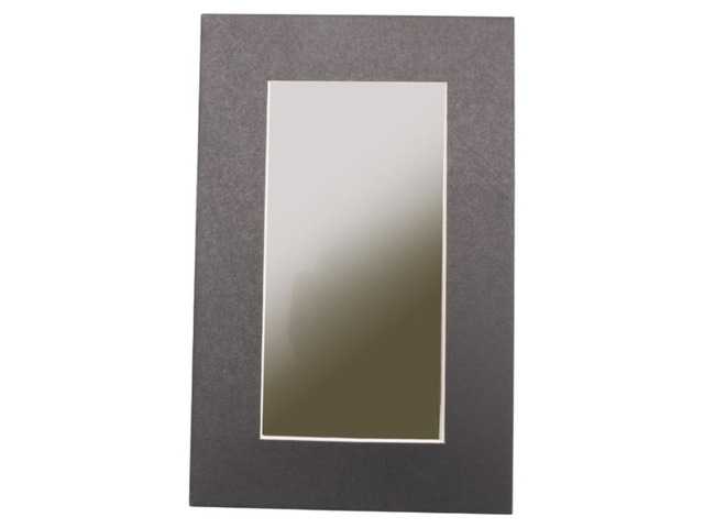 2x4in Magnetic Field Viewing Film