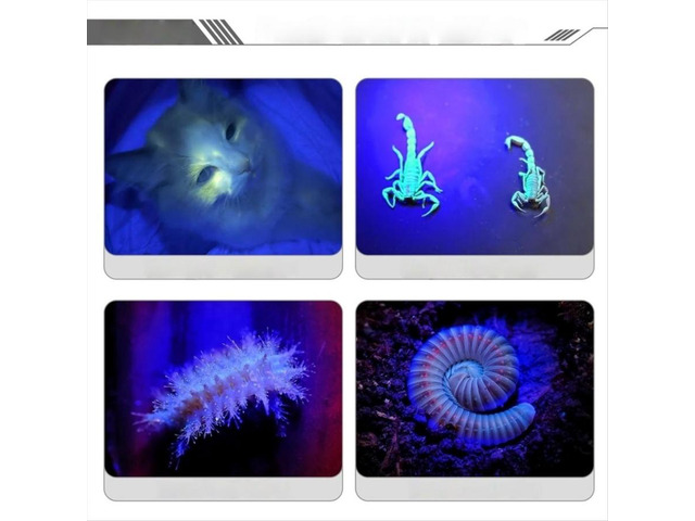 UV Flashlight for Glue Curing Detection