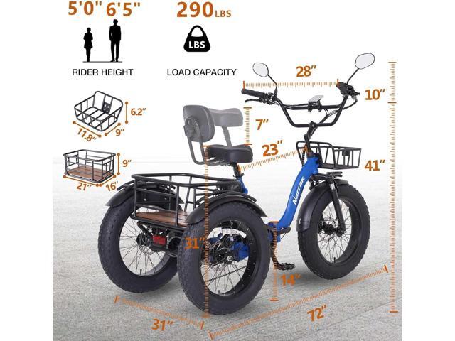 Narrak Folding Electric Tricycle (Color: Blue)