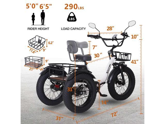 Narrak Folding Electric Tricycle (Color: White)