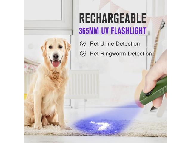 OLIGHT Arkfeld UV Rechargeable EDC Flashlight, 1000 Lumens White LED and 365nm Blacklight Combo for Outdoors, Emergency, Working, Pet Urine...