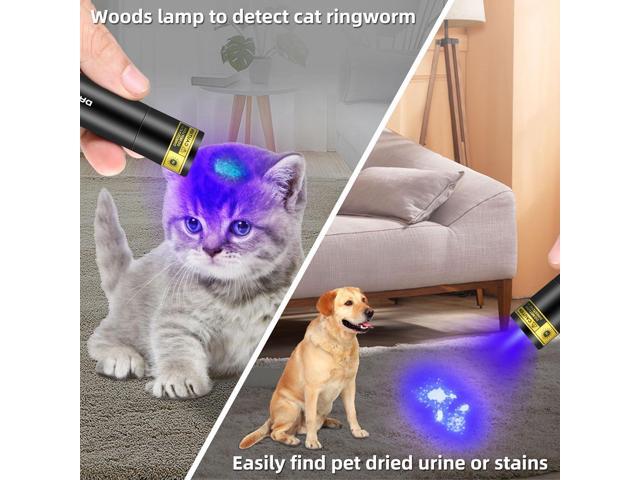 DARKBEAM UV Flashlight 365nm Woods Lamp USB Rechargeable Portable Blacklight LED Ultraviolet Light Mini, Detector for Pet Urine, Stains, Uranium...