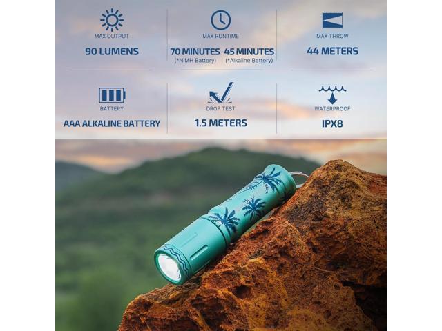 OLIGHT i3E EOS PMMA TIR Lens AAA EDC Flashlight 90 Lumens Compact Keychain Flash Light for Night, Camping (Summer Palm)