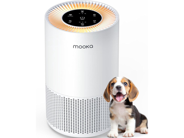 Air Purifiers for Home Large Rooms up to 1200ftÂ², H13 True HEPA Air Purifier for Bedroom Pets with Fragrance Sponge, Timer, Air Filter Cleaner for...