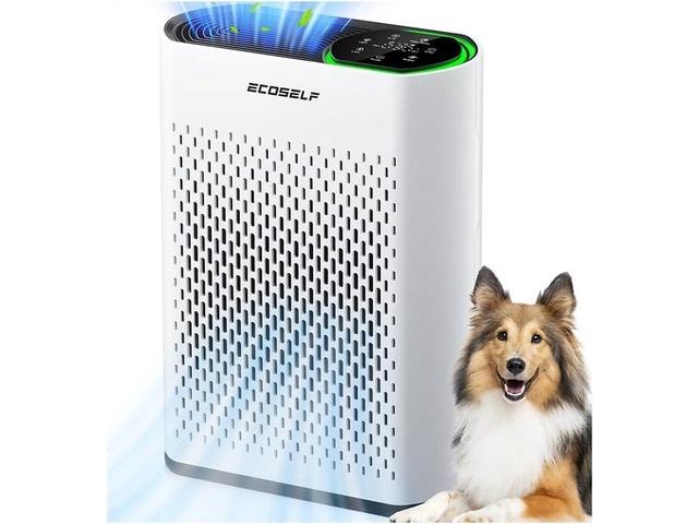 Air Purifier for Large Room, Cleans 2,400 ftÂ² in 30 Mins, 3-Stage True HEPA, 360Â° Airflow, Large Touch Display Control, Real-Time Air Quality...