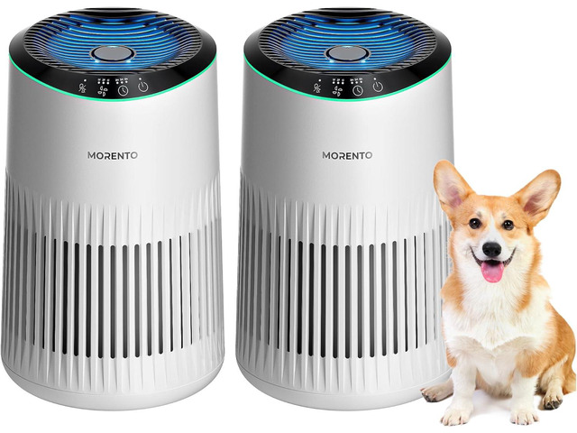 Air Purifiers for Bedroom Home for Smoke Pet Dander Odors, Air Purifier with Sleep Mode Small Air Purifier with Fragrance Sponge for Bedroom...