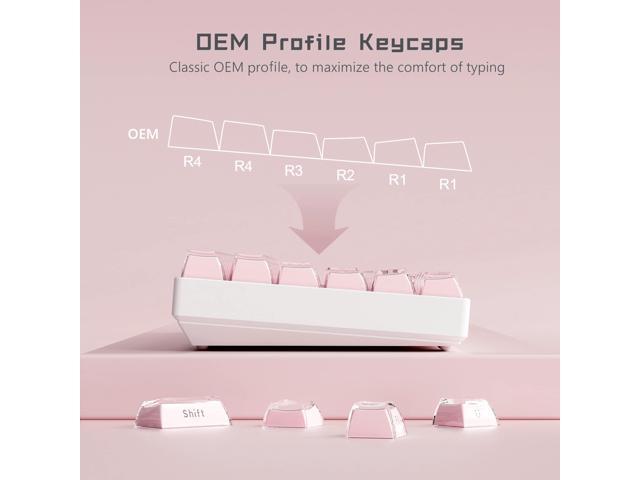 Womier Jelly Keycaps-Lusterfly Cute Keycaps Pink 60 65 75 100 Percent, Side Printed Elegant Key caps Custom113 Keys, OEM Profile for...