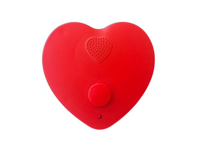 16min Voice Recorder for Stuffed Animals,Personal Voice Message Recordable Sound Recorder Chips Module for Mother's Day Christmas Plush Toy,Manual...