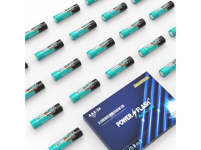 POWER FLASH Alkaline Battery, Long-Lasting Power, Leakproof Design, 10 Years Shelf Life (24)