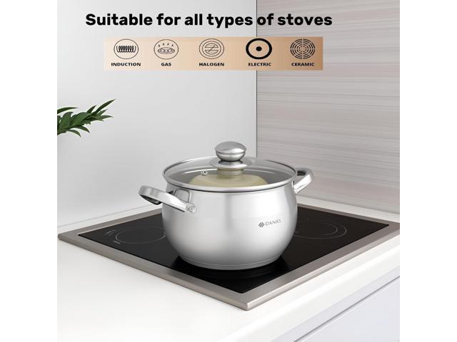 Daniks Classic 6-Piece Stainless Steel Induction Cookware Set Dishwasher Safe Pots with Lids, Measuring Scale, Silver