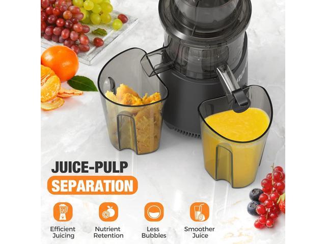 Slow Cold Press Juicer Machines: Masticating Cold Pressed Compact Juicer For Vegetable And Fruit Easy To Clean, Silver Grey