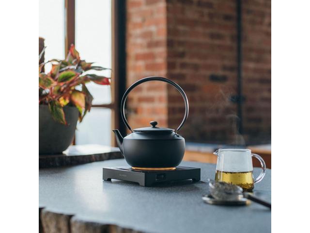 BALMUDA MoonKettle Electric Kettle with Temp Control (122°F - 212°F) HOLD & Keep Warm 900ml (30 fl oz) Soothing Ambient Light & Sound ...