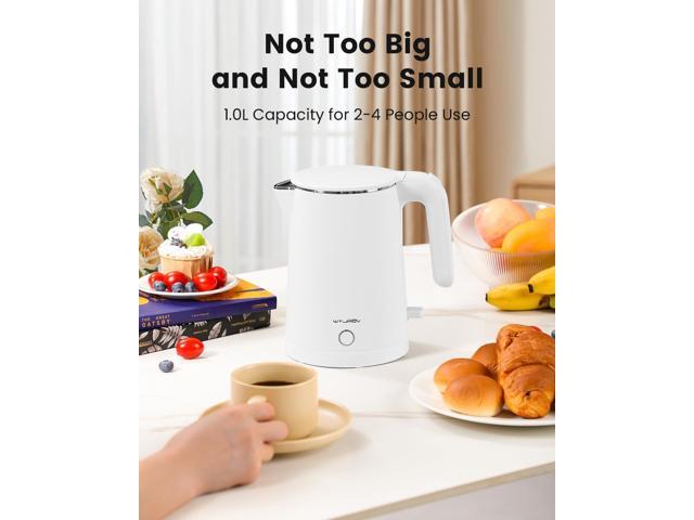 Electric Kettle Stainless Steel, 1.0L Small Water Boiler 1200W Fast Boiling, Double Wall Tea Kettle Pot Automatic Shut Off, Durable Coffee & Tea...
