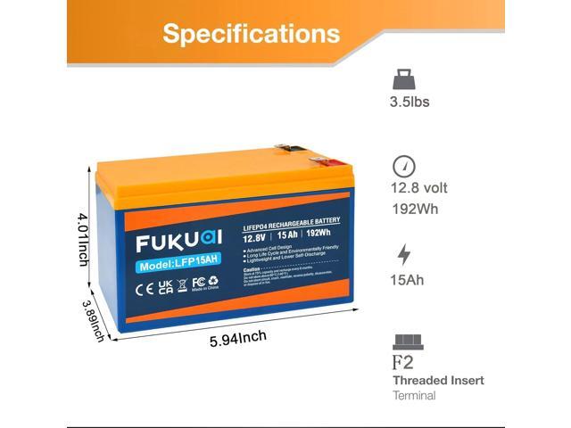 12V 15Ah Lithium LiFePO4 Battery, 2000+ Cycles Maintenance-Free Battery for Solar System, Power Wheels, Scooters, Small UPS and More, Built-in 15A BMS